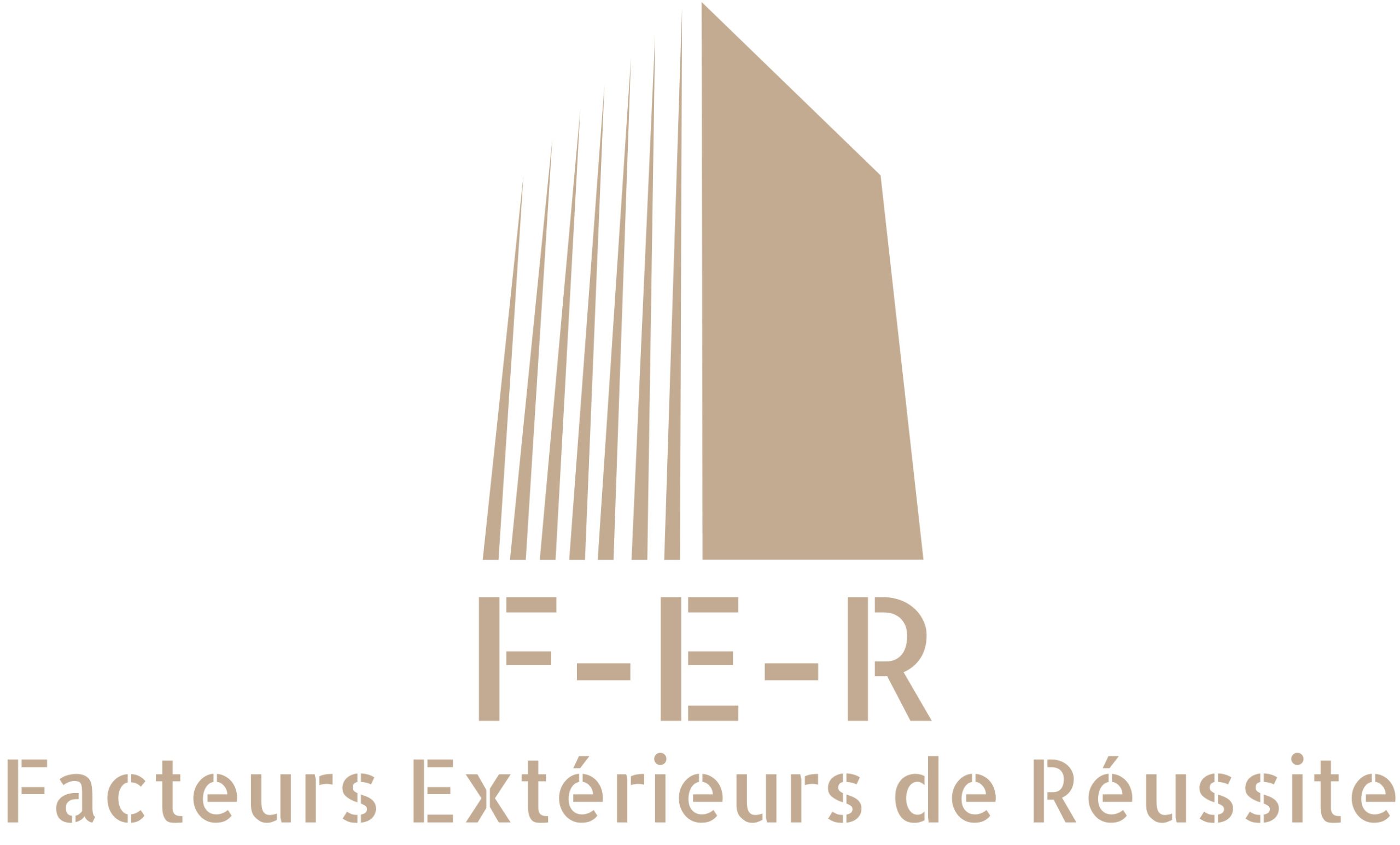 Facteurs Extérieurs de Réussite - FER